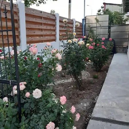 Casa Daria Σπίτι διακοπών Κονστάντζα